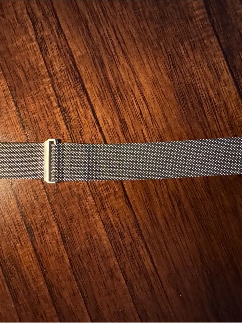 Magnetic Stainless Steel Mesh Band for Apple Watch - Silver